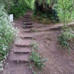 Footpath steps replacement.